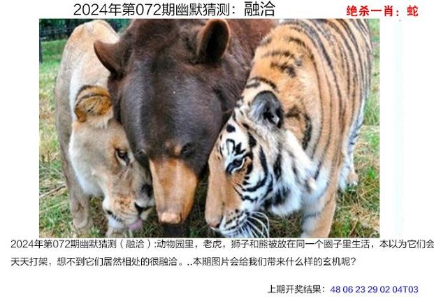 今日科普一下！2023年澳门正版资料近15期,百科词条爱好_2024最新更新