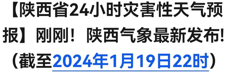 2024年12月25日 第5页