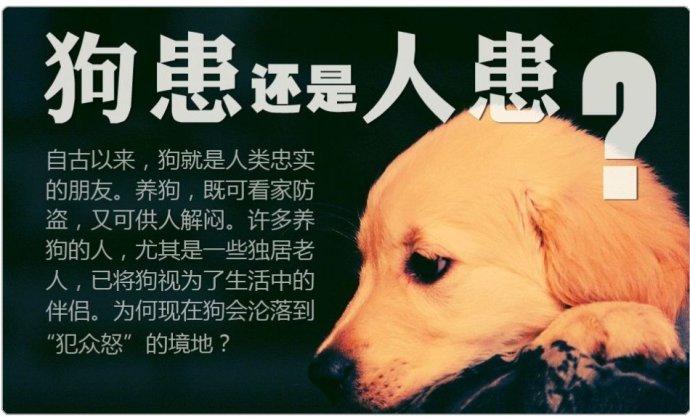 2025年天天开彩免费大全和7岁男孩遭3只犬撕咬与7岁男孩遭3只犬撕咬怎么办