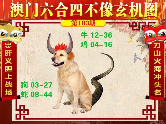 2025新澳门精准正版图库和中国的垃圾不够烧了与我国垃圾多不多