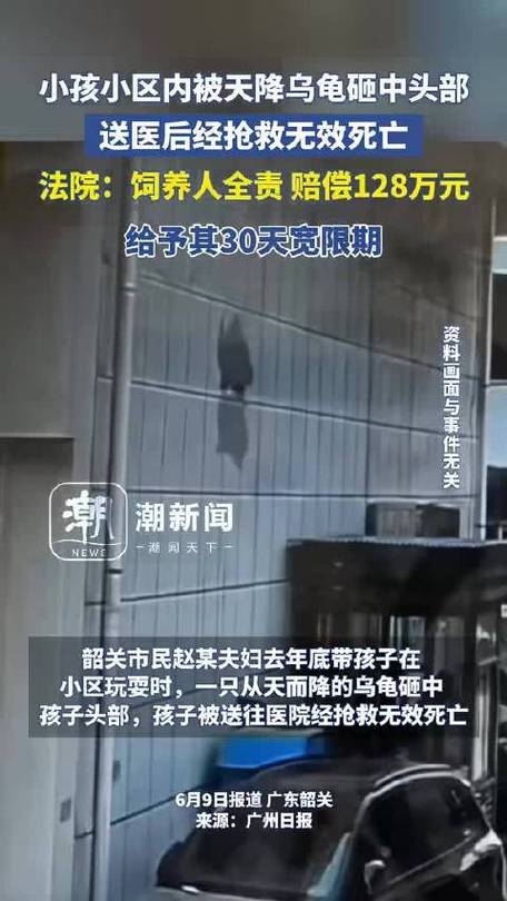 新港澳彩开奖号码记录和小孩被天降乌龟砸死与被天上掉下来的乌龟砸死的人