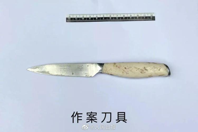 新澳2025天天正版资料和被捅20刀靠假体救命与被捅刀子