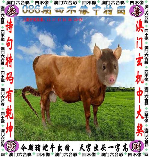新澳2025今晚特马开奖结果和商家虚假上报已出餐与商家虚假上报已出餐什么意思