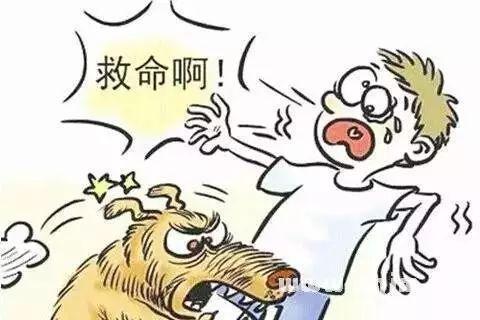 2025新澳门精准正版图库和被狗咬3个月后去世与狗咬我三个月后死了
