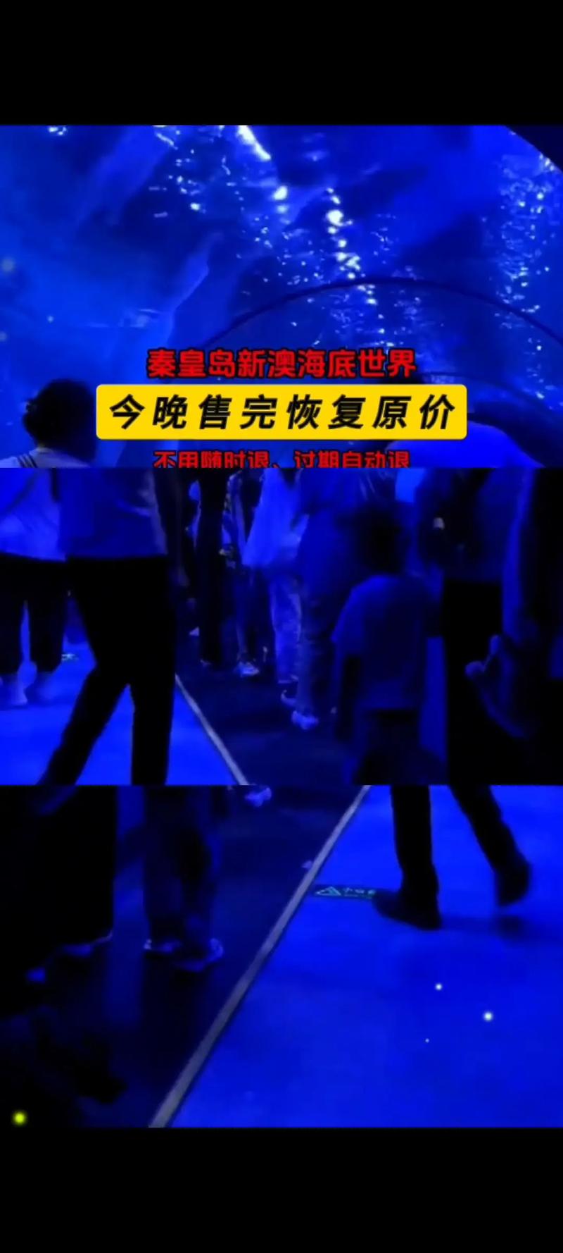 新澳天天开奖资料大全最新版和载3000辆车货船沉没与载3000辆车货船沉没怎么处罚
