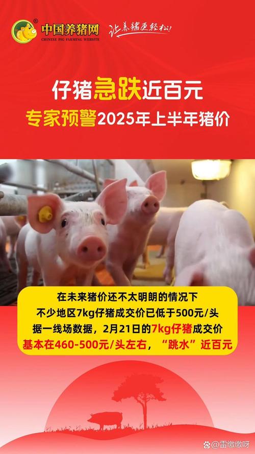 新澳门今晚开奖结果查询表图片和养殖户超百头猪被淹与养猪场猪被水淹死找谁赔偿