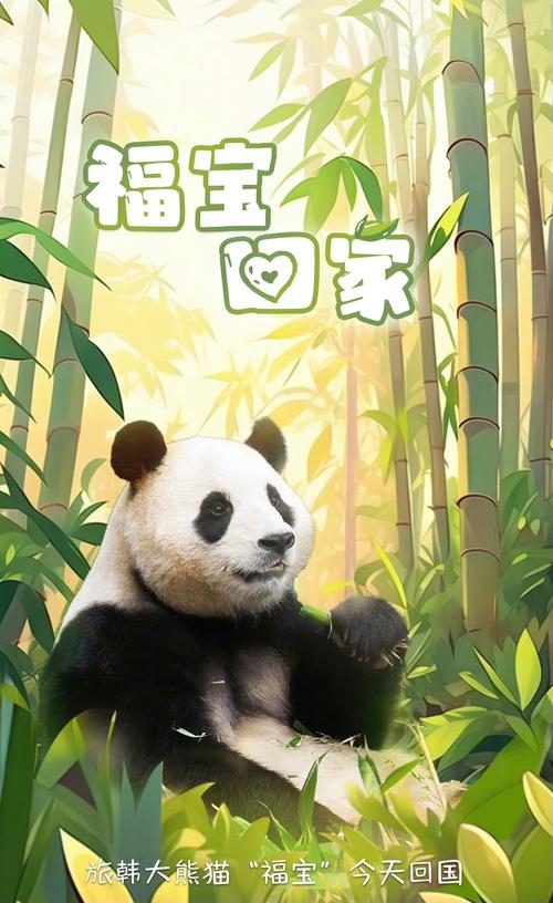 新澳2025今晚特马开奖号码和4只旅日大熊猫回国与4只旅日大熊猫回国的故事