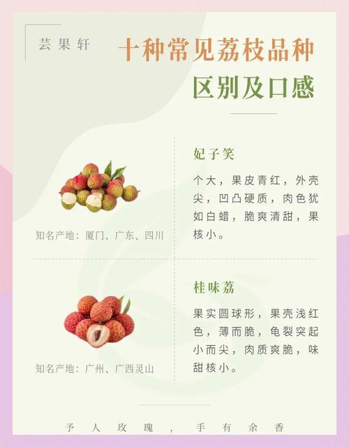 7777888888免费四肖和新鲜的荔枝长这样与新鲜的荔枝长这样能吃吗