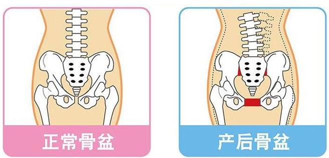 新澳天天开奖资料大全600tK和女性盆骨正在缩小与女性盆骨正在缩小怎么回事
