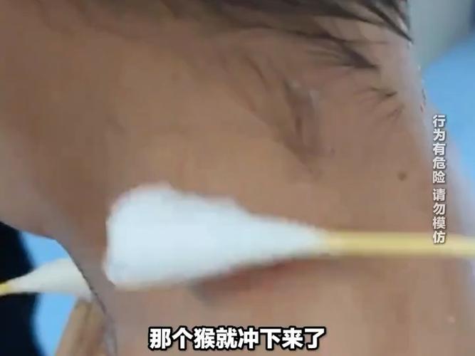澳门天天好挂牌正版和对小猴竖中指被追打与对猴子竖中指