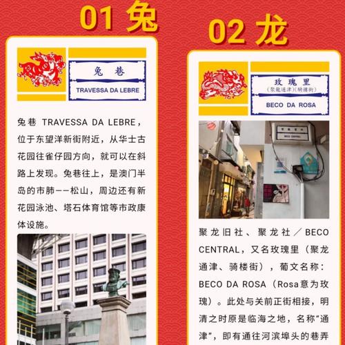 澳门开奖结果+开奖记录表生肖和波音737客机险坠毁与