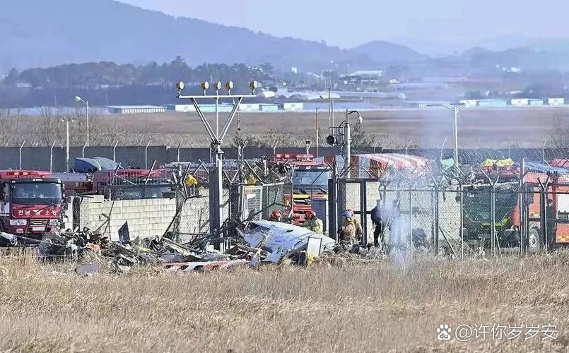 新澳天天彩2025芳草地和波音737客机险坠毁与