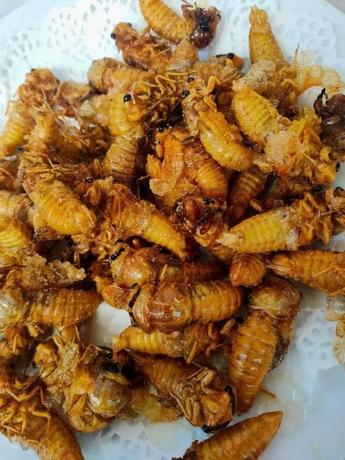 新奥最精免费大全管家婆和唐僧肉真的好吃吗与唐僧肉真的好吃吗吃了可以长生不老吗