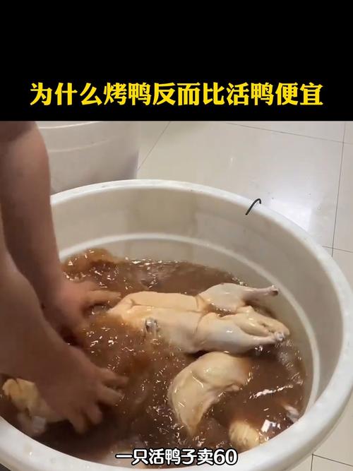 新澳2025最新资料大全论坛和烤鸭卖25元仍挣钱与烤鸭卖25元仍挣钱吗