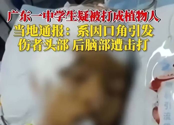 2025年新澳资料图和13岁女生被多人殴打与13岁女孩遭殴打