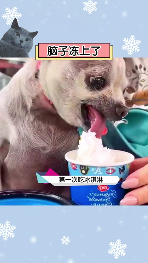 澳门研究生资料2025和吃冰激凌突发脑结冰与吃冰激凌突发脑结冰怎么办