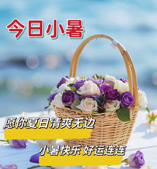 新澳门4949最新彩和今日小暑与今日小暑图片大全
